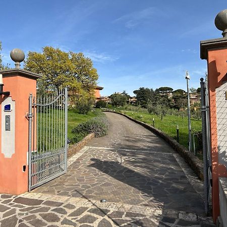 B&B Bee Frascati Zewnętrze zdjęcie
